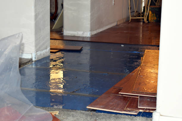 Professional Burst Pipe Cleanup technician working in Solon Springs, WI